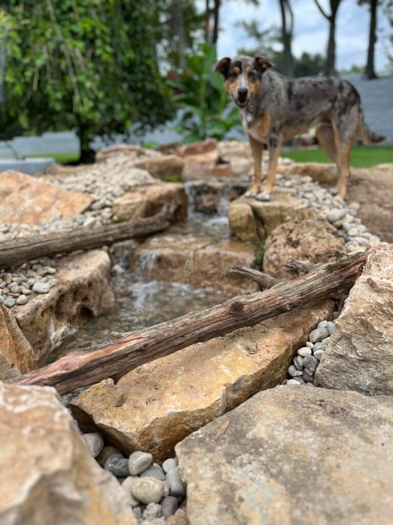 Small pondless waterfall with boulders and pooling areas