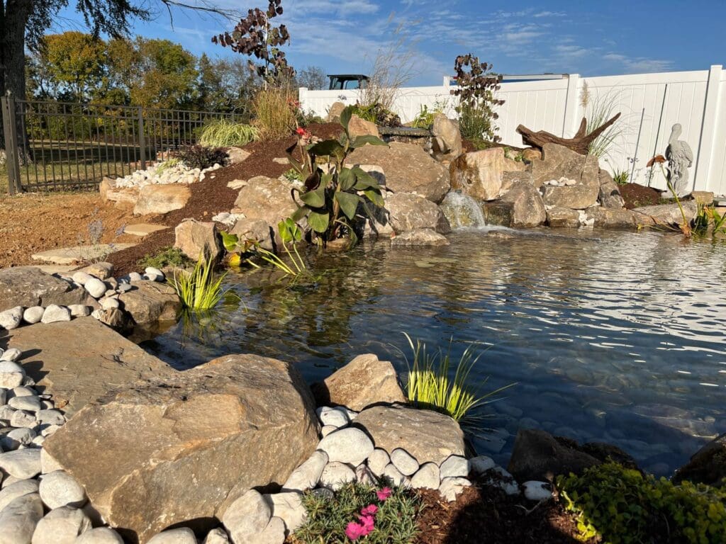 Small recreational swim pond